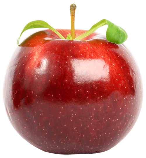 Wholesale Fruits and Vegetables Cupit Food Wholesale Food Supplier