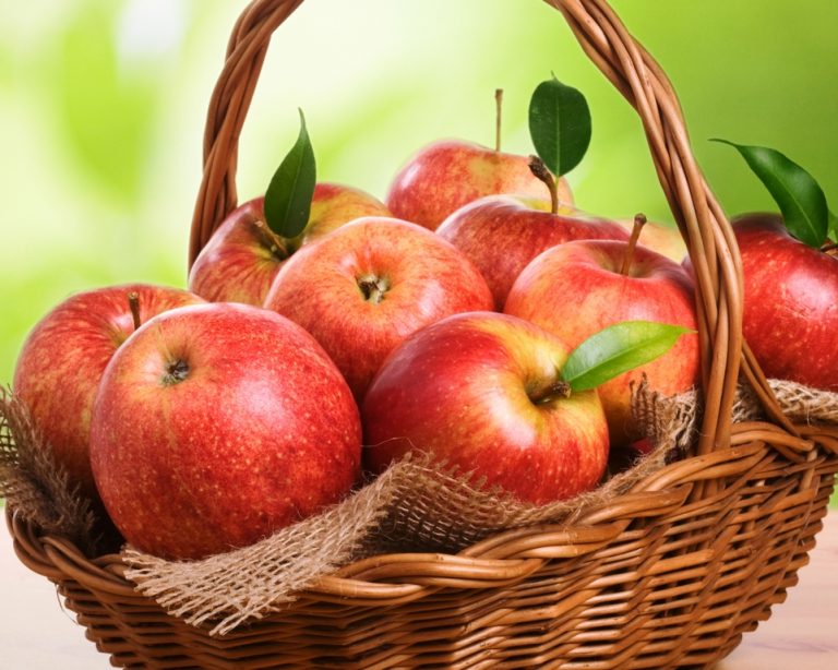 Svg+xml,%3Csvg%20xmlns%3D'http%3A%2F%2Fwww.w3