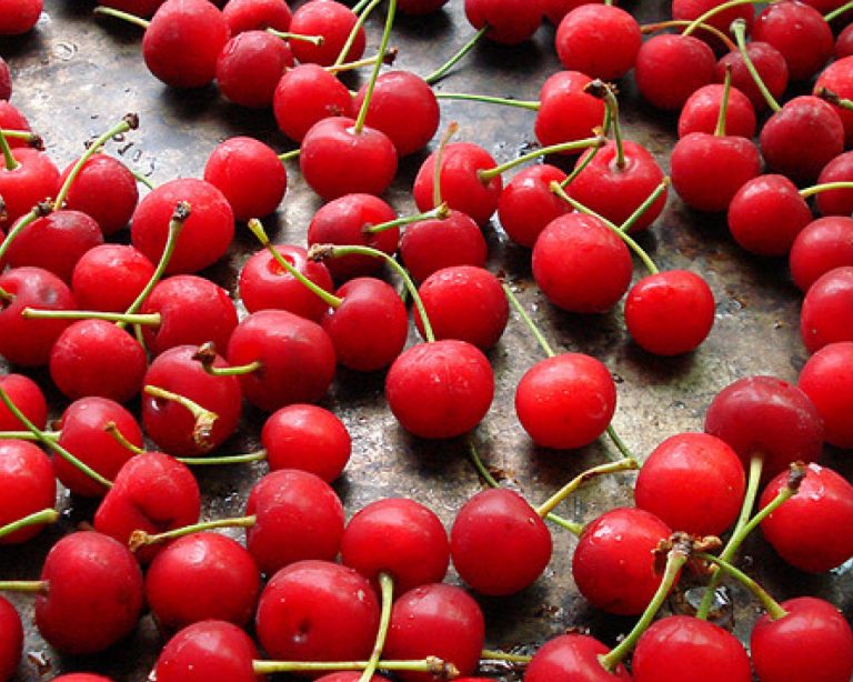 Svg+xml,%3Csvg%20xmlns%3D'http%3A%2F%2Fwww.w3