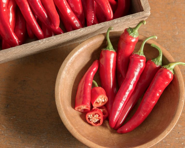 Svg+xml,%3Csvg%20xmlns%3D'http%3A%2F%2Fwww.w3