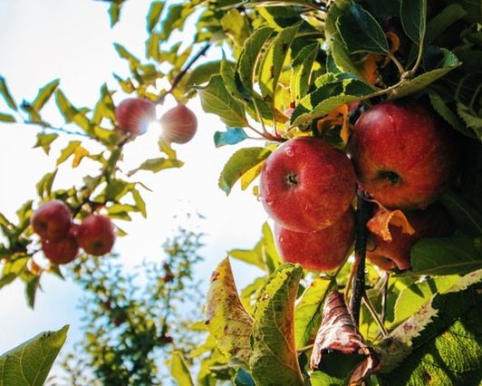 Svg+xml,%3Csvg%20xmlns%3D'http%3A%2F%2Fwww.w3