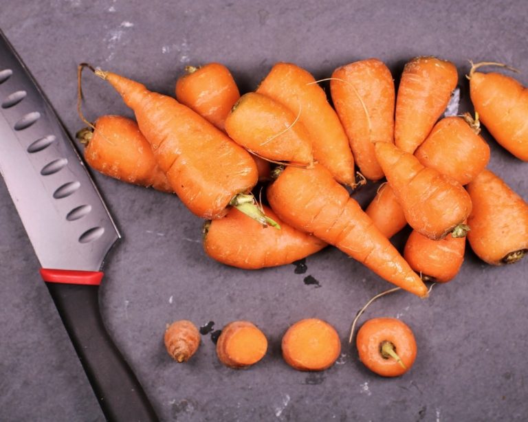 Svg+xml,%3Csvg%20xmlns%3D'http%3A%2F%2Fwww.w3