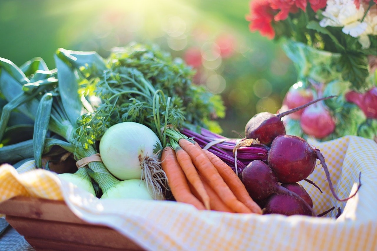 organic food distributor