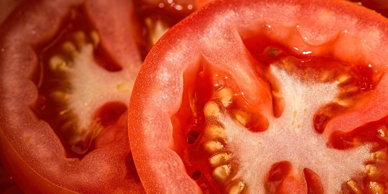 wholesale tomato supplier