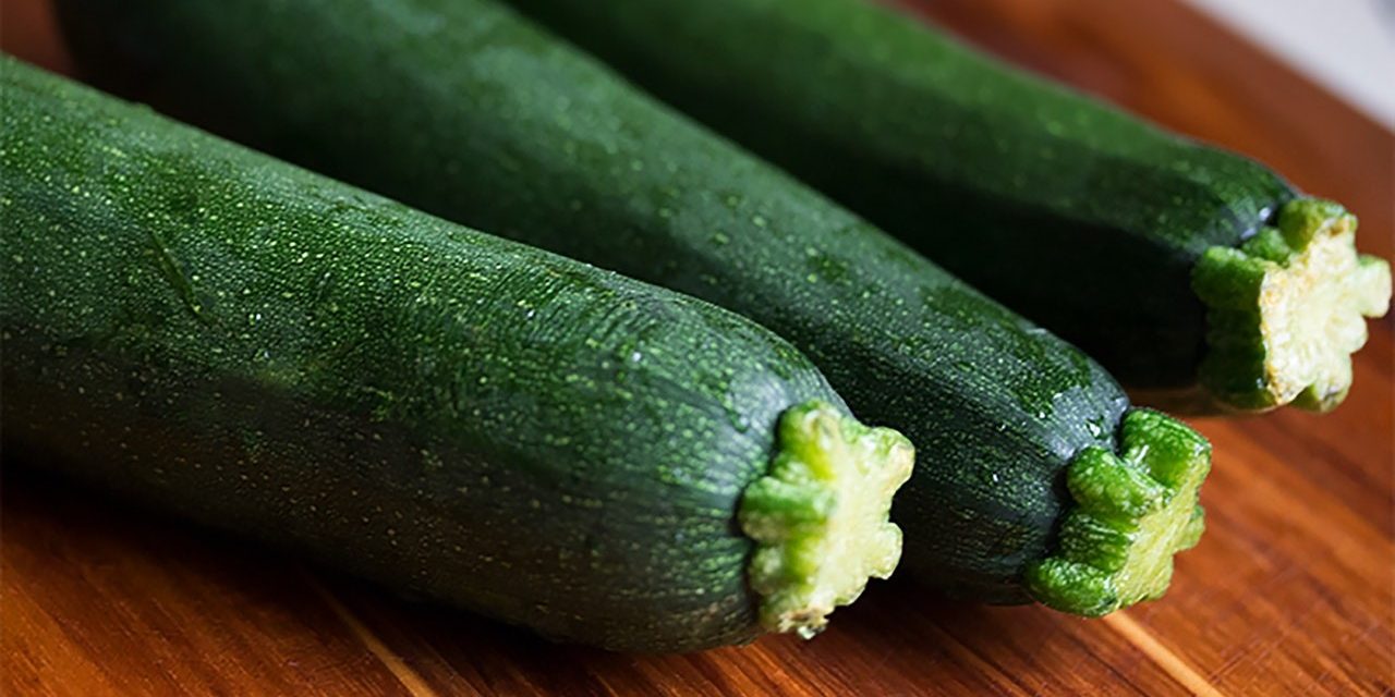 wholesale zucchini supplier