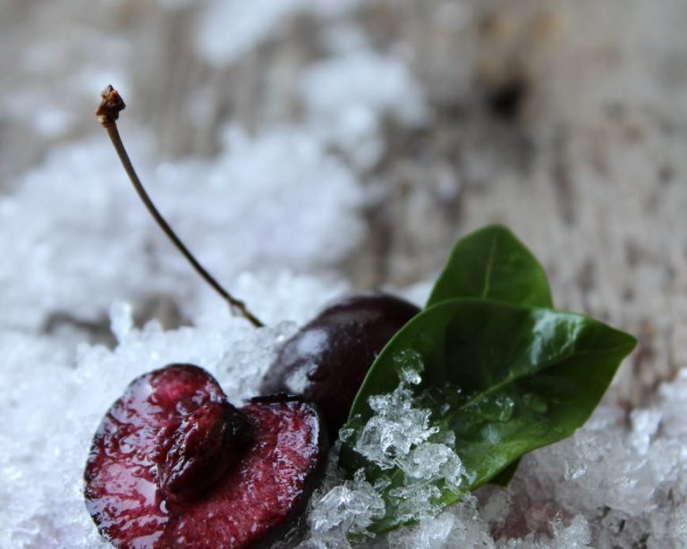 Svg+xml,%3Csvg%20xmlns%3D'http%3A%2F%2Fwww.w3