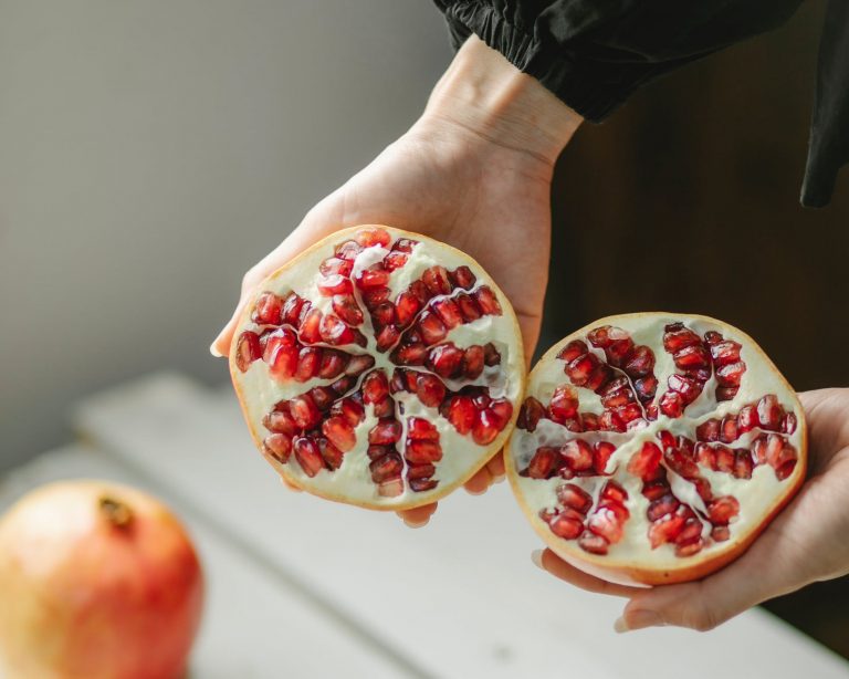 Svg+xml,%3Csvg%20xmlns%3D'http%3A%2F%2Fwww.w3