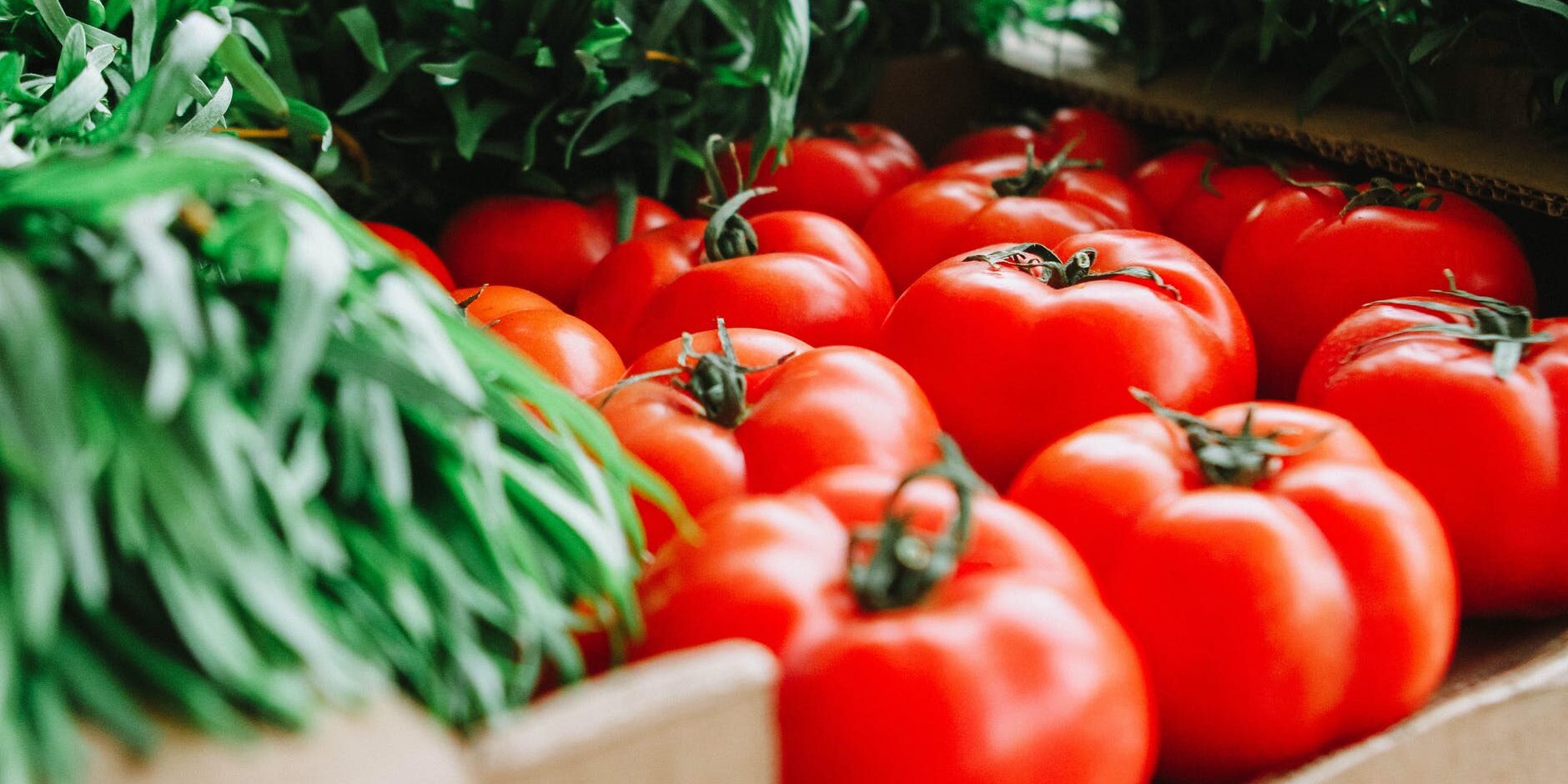 Wholesale Vegetable Supplier Cupit Food Wholesale Food Supplier