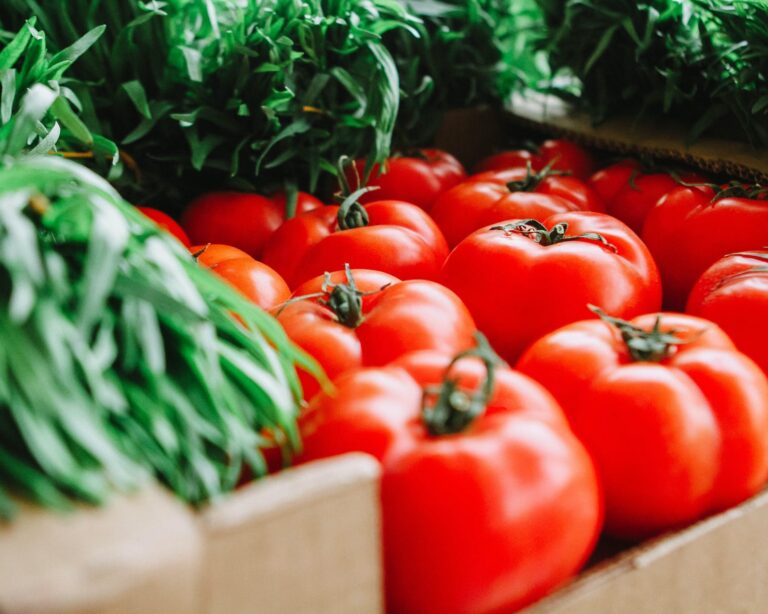 Svg+xml,%3Csvg%20xmlns%3D'http%3A%2F%2Fwww.w3