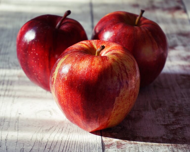 Svg+xml,%3Csvg%20xmlns%3D'http%3A%2F%2Fwww.w3