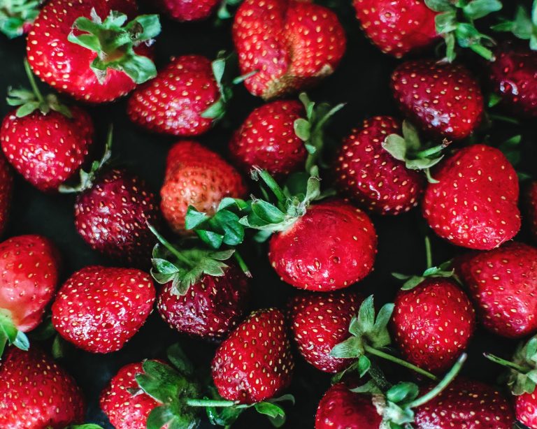 Svg+xml,%3Csvg%20xmlns%3D'http%3A%2F%2Fwww.w3