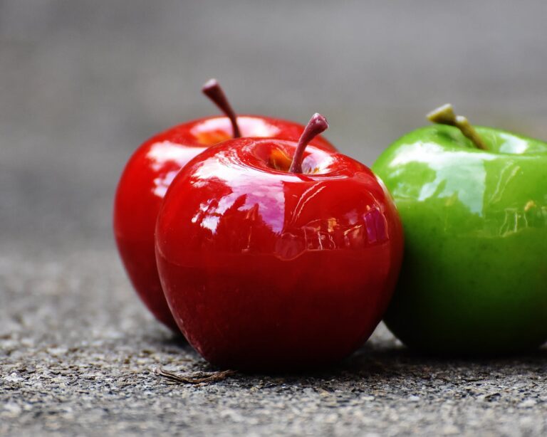 Svg+xml,%3Csvg%20xmlns%3D'http%3A%2F%2Fwww.w3