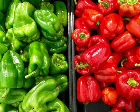 Svg+xml,%3Csvg%20xmlns%3D'http%3A%2F%2Fwww.w3