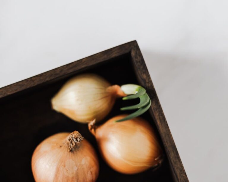 Svg+xml,%3Csvg%20xmlns%3D'http%3A%2F%2Fwww.w3