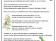 A Guide to Tomato Cultivation: Tips and Techniques for Growing Tomatoes