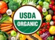 Fresh and Organic Food: The Benefits of Choosing Organic Fruits and Vegetables