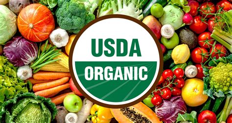 Fresh and Organic Food: The Benefits of Choosing Organic Fruits and Vegetables Fresh and Organic Food: The Benefits of Choosing Organic Fruits and Vegetables