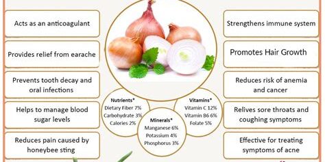 Exploring the Health Benefits of Onions: Packed with Vitamins and Minerals