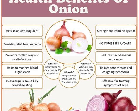 Exploring the Health Benefits of Onions: Packed with Vitamins and Minerals