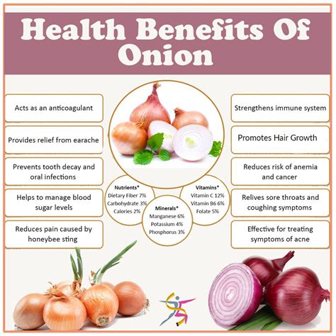 Exploring the Health Benefits of Onions: Packed with Vitamins and Minerals