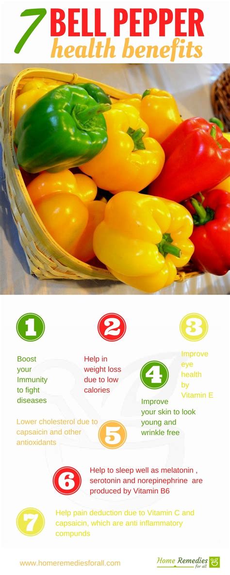 The Versatility of Green Peppers: Delicious Recipes and Health Benefits