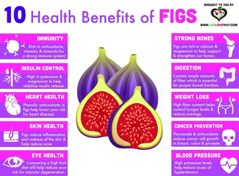 An In-Depth Look at Fig Benefits: From Digestive Health to Antioxidants