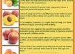 The Surprising Health Benefits of Peaches: A Sweet and Nutritious Fruit