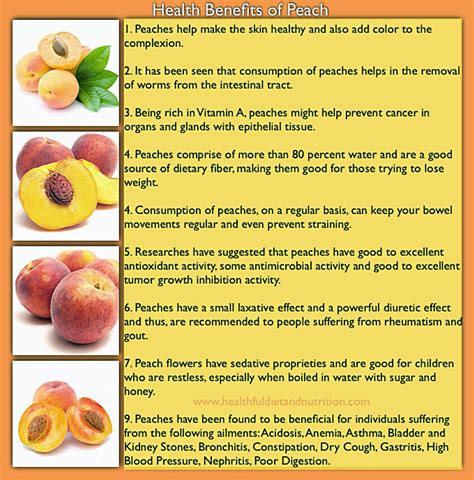 The Surprising Health Benefits of Peaches: A Sweet and Nutritious Fruit