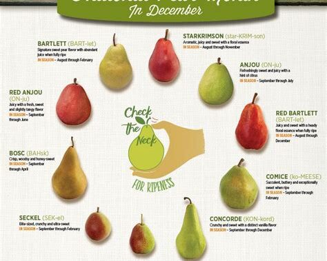 All About Pears: Nutritional Value, Varieties, and Cooking Tips