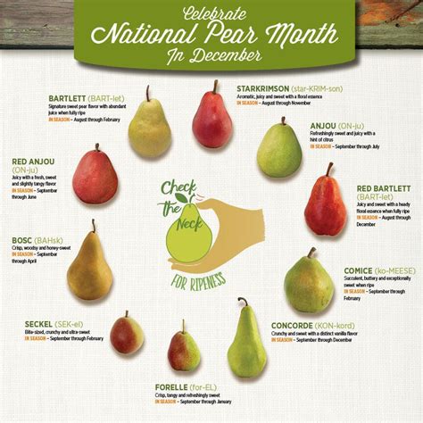 All About Pears: Nutritional Value, Varieties, and Cooking Tips