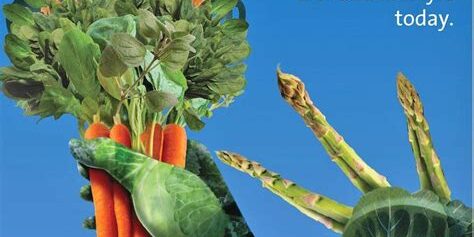 The Role of Fruits and Vegetables in Preventing Chronic Diseases