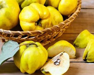 All About Quinces: Uses, Varieties, and Health Benefits