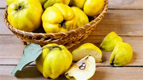 All About Quinces: Uses, Varieties, and Health Benefits All About Quinces: Uses, Varieties, and Health Benefits