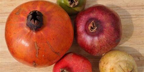 A Comprehensive Guide to the Different Varieties of Pomegranates A Comprehensive Guide to the Different Varieties of Pomegranates