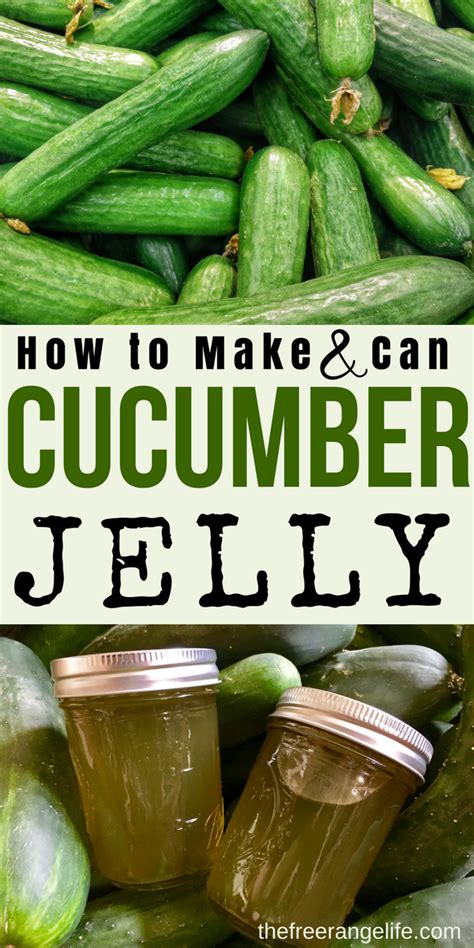Top 10 Must-Try Recipes for Cucumbers Top 10 Must-Try Recipes for Cucumbers
