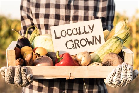 The Environmental Benefits of Choosing Locally Grown Produce The Environmental Benefits of Choosing Locally Grown Produce
