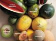 The Nutritional Value of Different Types of Melons