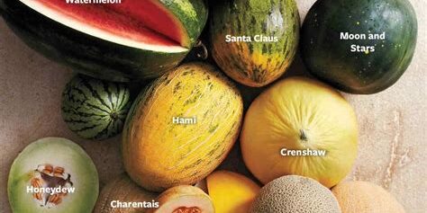 The Nutritional Value of Different Types of Melons