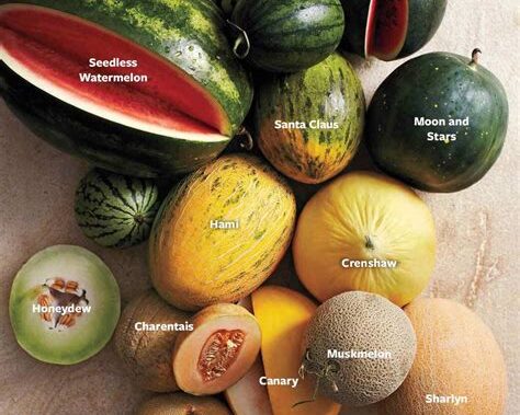 The Nutritional Value of Different Types of Melons
