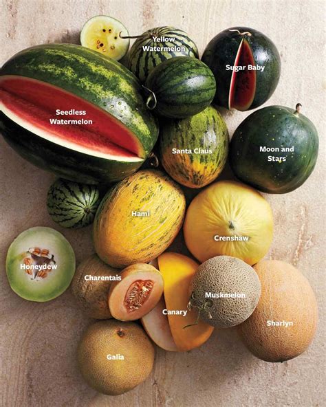 The Nutritional Value of Different Types of Melons The Nutritional Value of Different Types of Melons